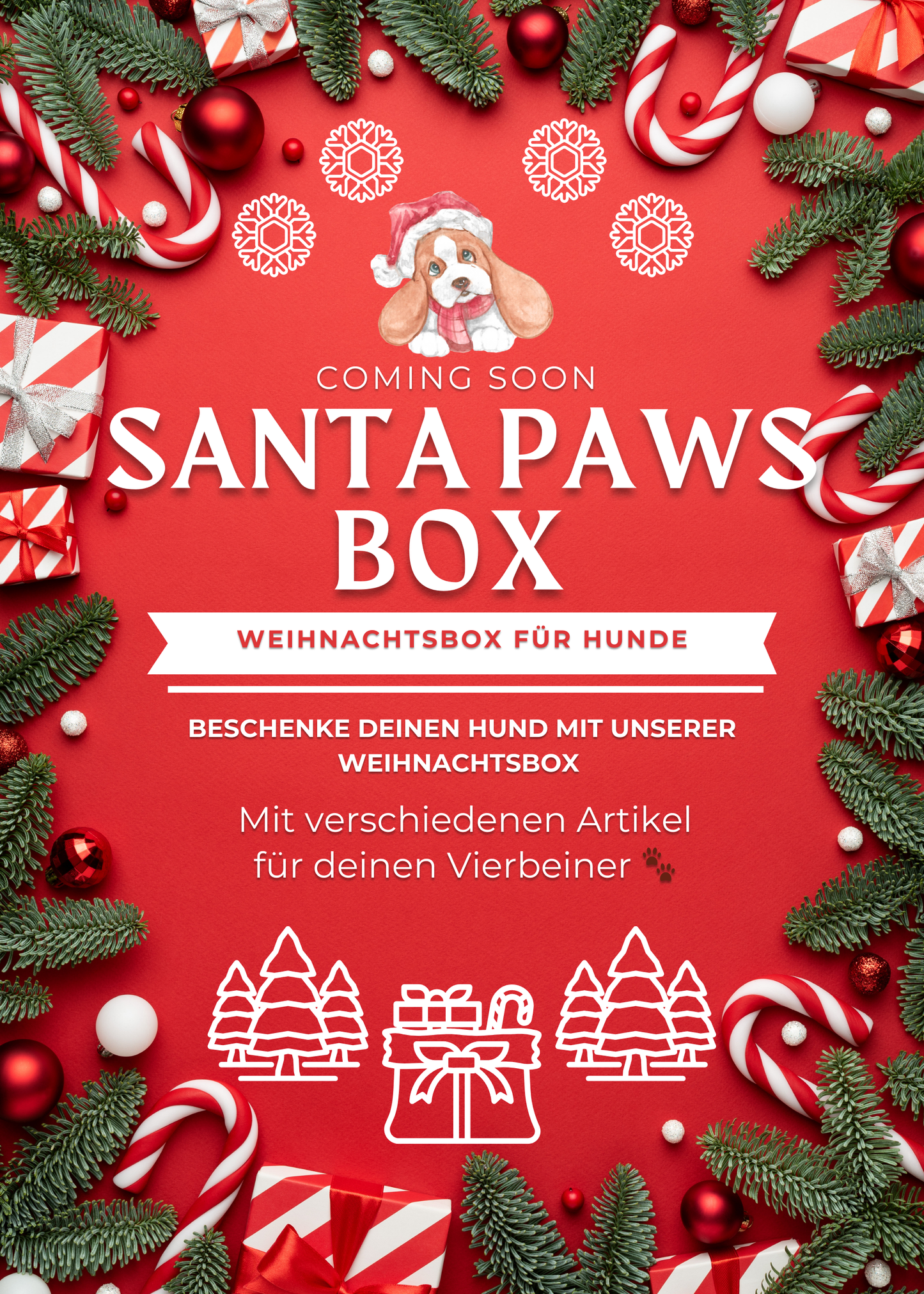 Santa Paws Box