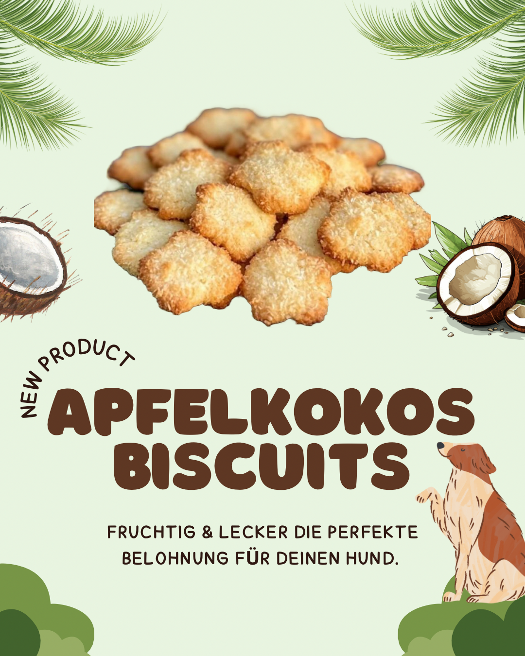 ApfelKokos Biscuits